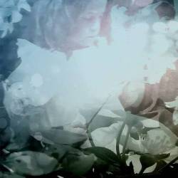 Clouds Collide : Elestial